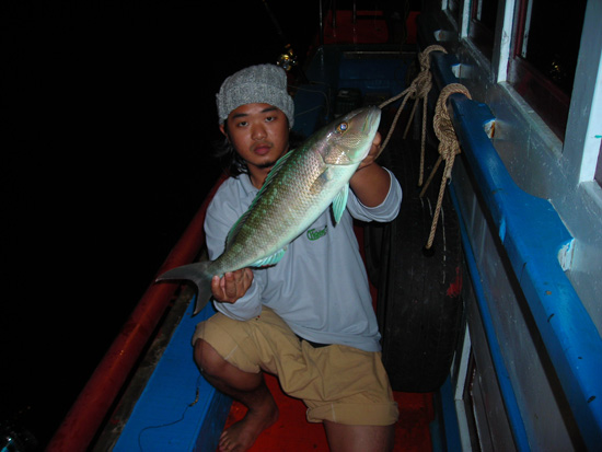 น้องดินสอยกระพงเขียวขึ้นมาอีกตัว ครับ
 :smile: :smile: :smile:
