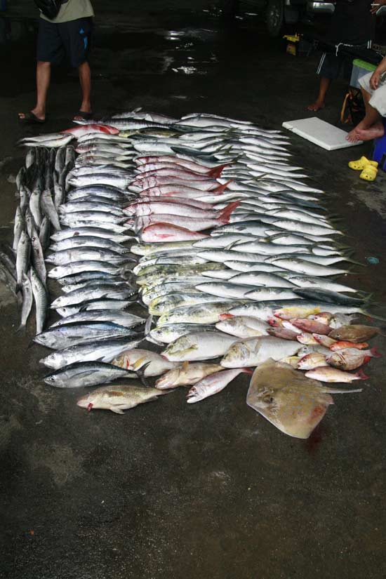 รวมๆกัน ได้ประมาณ 200 กว่ากิโลครับ..