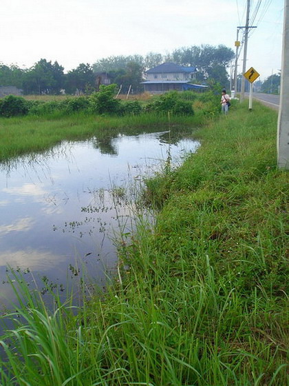 (^_^)สุดสัปดาห์...ล่าปลาหัวงู(^_^)