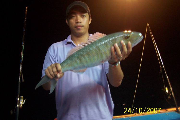 รูปนี้ ปลาเลี้ยง ของผมที่สิมิลันครับกะพงเขียว อิอิ
แต่เลี้ยงไปเลี้ยงมาเล็กลงทุกปี  555555555555