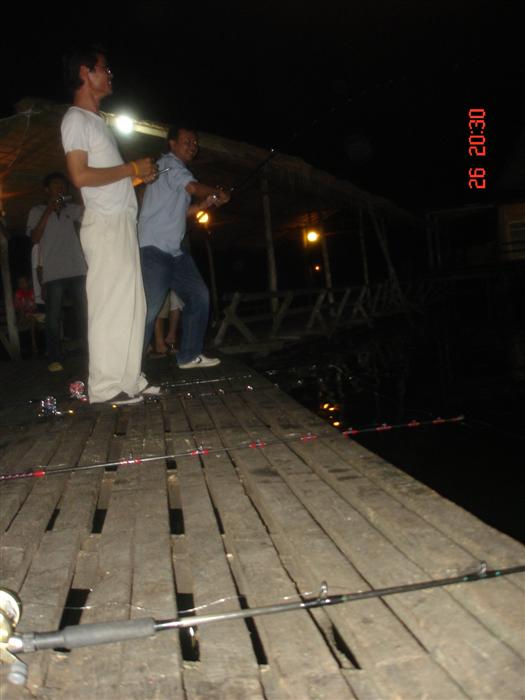 ปลาซ้าย ปลาขวา ปลาหน้า ปลาหลัง บนๆ ล