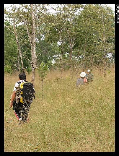 การเดินในช่วงที่สอง หลังผ่านทุ่งโล