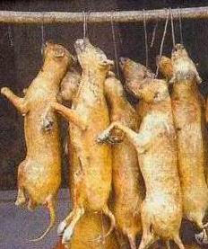 ..
..
และ นี่ก็คือเคล็ดลับแห่ง LUNCH of the day
..
..
ขอให้เจริญอาหาร นะครับน้า jim1998
..
..