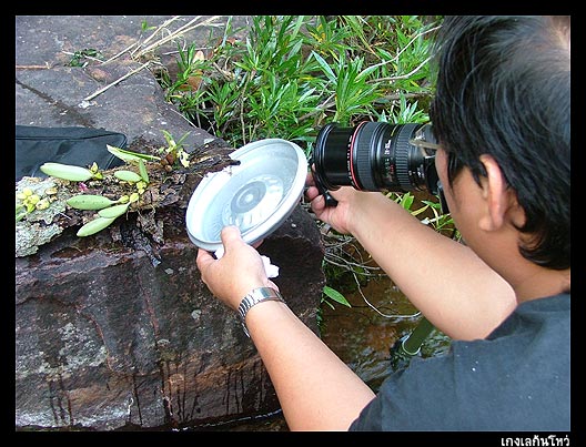 ไปเลียบ ๆ เคียง ๆ ทำฟอร์มเป็นผู้ช่วย