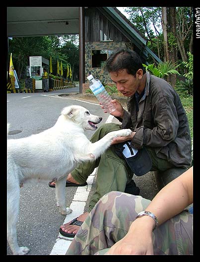 หัวเราะระวังตะคริวขึ้นท้องนะคะ น้า