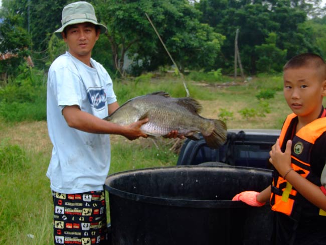 ส่วนใหญ่ก็จะเป็นไซส์เนี๊ย สัดส่วนกำลังดี 34-24-35 
เออ.....ม่ายช่ายคับ  :umh: