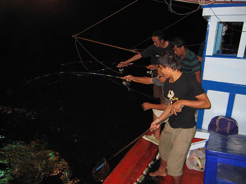 ตอนจอดเรือปั่นไฟตกหมึก หมึกเข้าดีจ