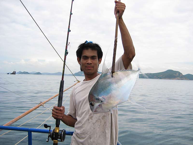 โฉมเช่นเคย