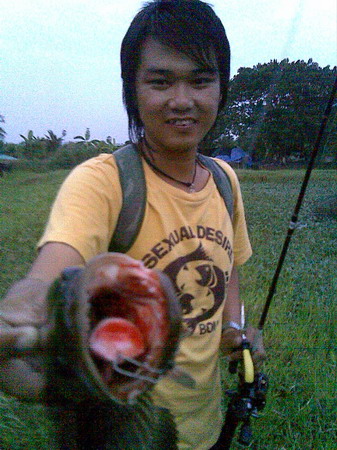 เหยื่อแฟนผมทำเองเป็นปลาฉลามสีชมพู่