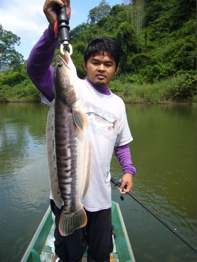  ตัวนี้แรงดีวิ่งๆออก... อย่างเดียวเลย สงสัยไซร์งาม  :grin: