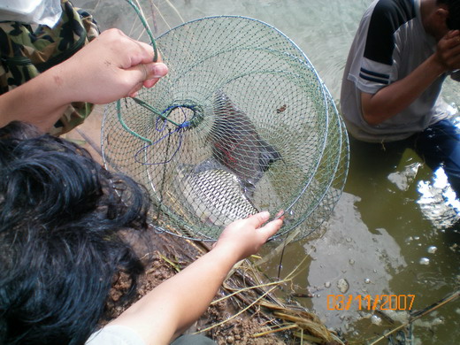  :ohh: :ohh: :ohh: :ohh: :ohh:
 :cool: :cool:...ที่เอาตัวขึ้นมาได้เพราะลูกดอกนะครับเราไม่สามารถปลดป