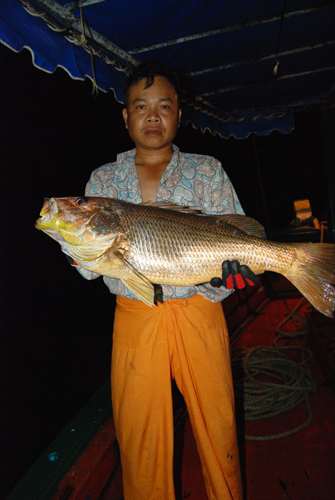 ปลาลงพุง  เหมือนคนตกได้  ครับ  อิอิ