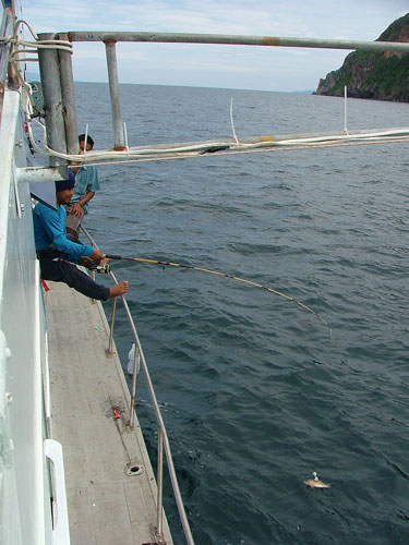 หัวเรืออัดอังจ้อขึ้นมาอีกตัว