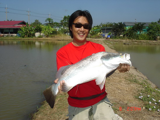 ขอโทษคับขาดรูปปลาอีก 2 รูปคับ...มึนๆเ