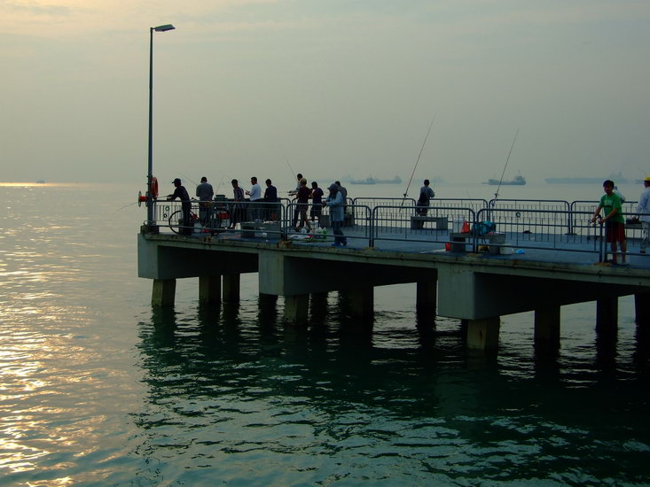 หัวสะพานท่าเรือ น้ำพัดไปทางซ้าย ฝูงปลาเล็กเพียบ เจ้าถิ่นเลยรีบมาจองที่ยืนตกกันคับ :smile: