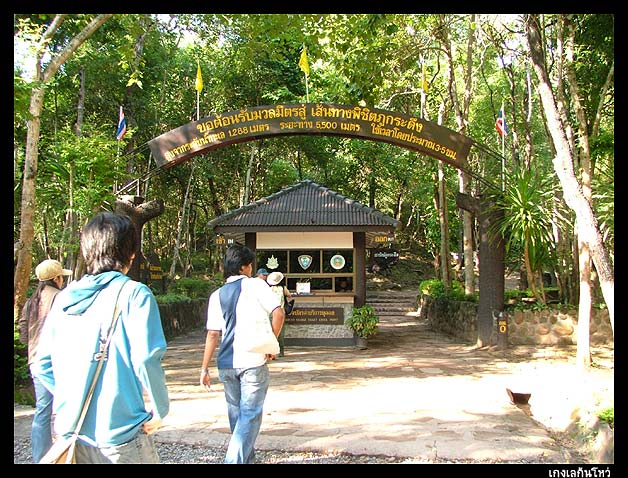 หอยทอด ไม่ใส่ไข่ แป้งนิ่ม ถั่วงอกเย