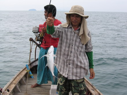 กับผลงานกะมงพร้าวไซร์ จานเปล :umh: :umh:
