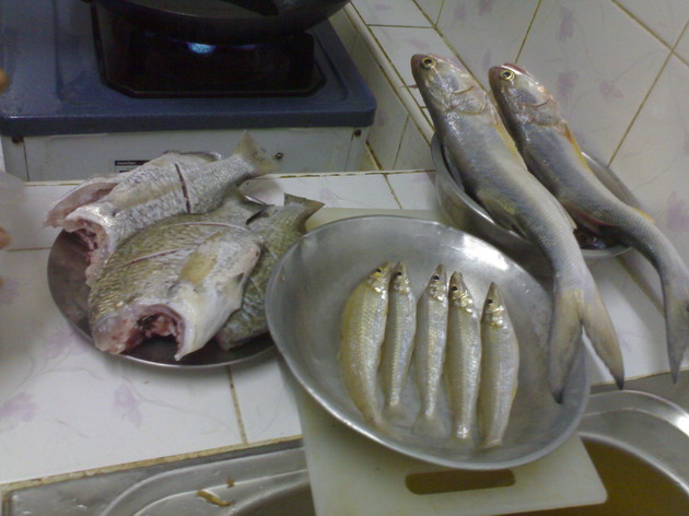 ส่วนหนึ่งที่แบ่งๆกันมาทำกินกันครับ... :grin: :grin: :grin: