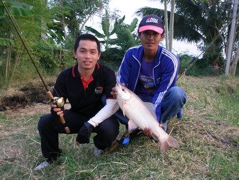 ฝากรูปนี้หนึ่งรูปครับ
