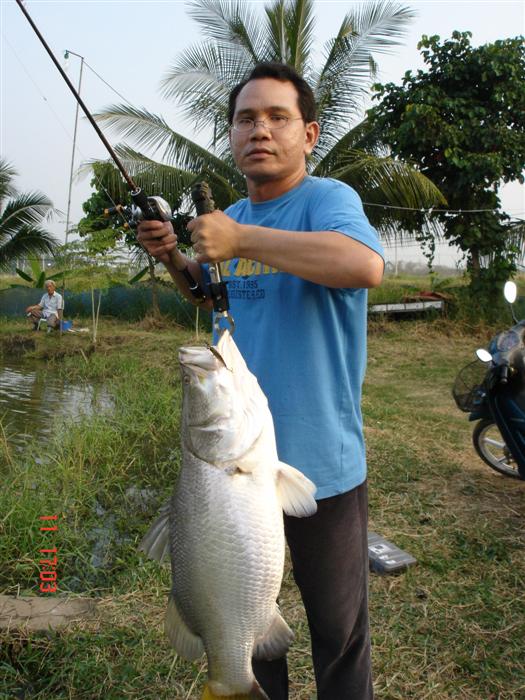 น้าทด...
   เฝ้าอยู่นานแระ ตรงนี้ .....
  ซิบเบท ตัวเก่ง.....
 ตูมๆๆๆ รอกกะเด้า สุดๆๆ.....
     