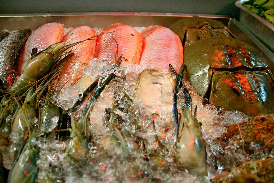สรุป .... มีพร้อมเกือบทุกอย่าง

กุ้ง ห