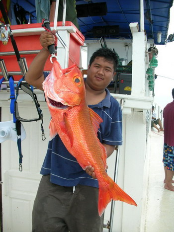 ตกปลา