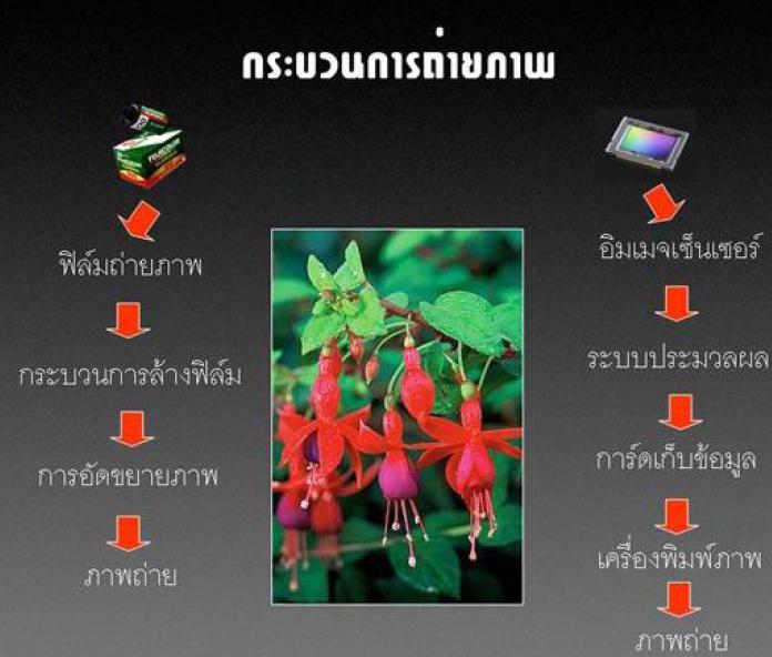 ผู้ที่กำลังจะซื้อกล้องถ่ายรูปตัวใ