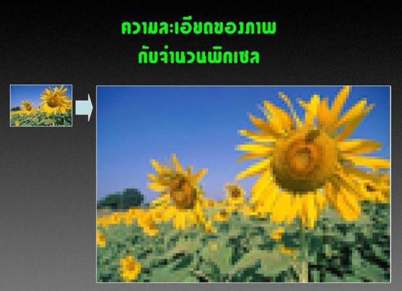 กล้องดิจิตอลส่วนใหญ่จะเลือกจำนวน Pix