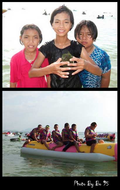 เจ้าดอกไม้แห่งขุนเขาเอย ..

ข้อความโดย : ติงลี่