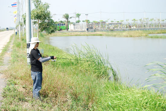 ย้ายหมาย

ผมเสียกระดี่ไป 1

เอาแล้ว เหลืออยู่ 3

ถ่ายรูปเล่นดีฝ่า  :grin: