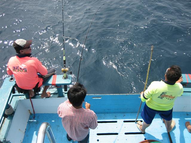 เสียงเอะอะท้ายเรือ ปลุกให้ตื่นไปดู :ohh: