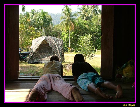 ปรึกษายุทธวิธีกันใหม่