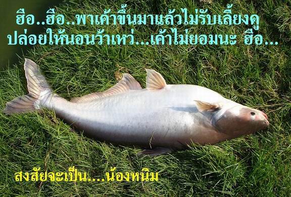  :cheer:  :love:  :cheer:
...ร่วมแจมด้วย...
...น้องอวบตั