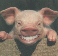 น่าไปเที่ยวจัง :grin: :grin: :grin: