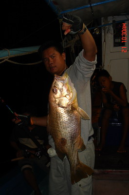 น้าพากรครับพึ่งรู้ว่าคนเจียงฮายเหมือนกัน คือว่าอยากทราบรายละเอียดการออกทริปกับไต๋วุฒิอ่ะครับ พรรคพวก