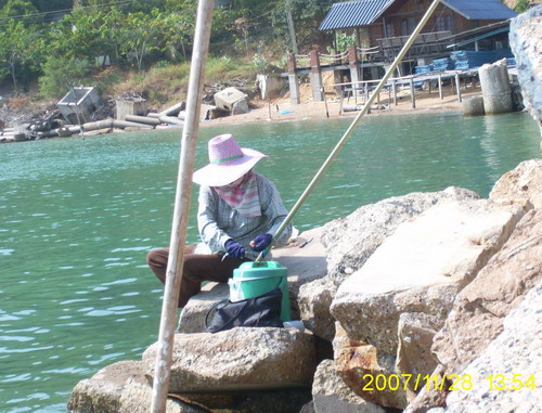  :love: :love:.....มองดูข้างๆ ป้าเขาสอยขึ้นมาอ