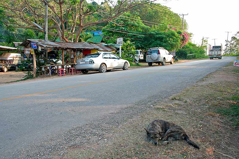 ทางไปที่พัก .... กับนักเลงเจ้าถิ่น

 :laughing: