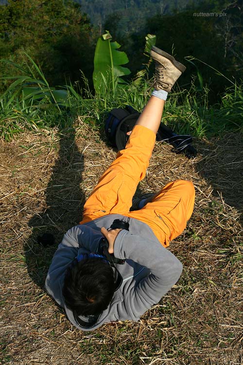 ดูลีลาการถ่ายภาพของป้าหมวยกันมั่ง แต่ละคน สุดๆเลยครับ :laughing: :laughing: :laughing: