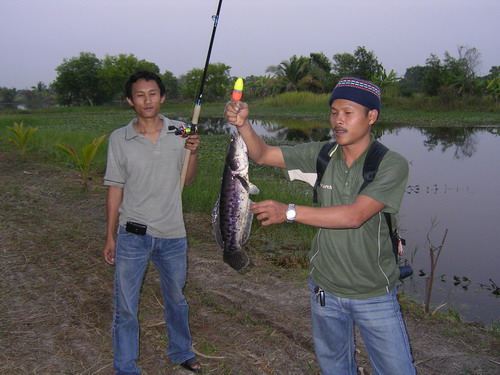 มีผลงานมาให้ดูครับร้อนๆเลยคาบ วันล่าไอ้โด  :grin: :grin: