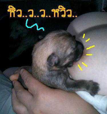  :umh: :umh: :umh:
...อย่างนี้ถึงจะเรียก...ดูด...ของแท้...
 :blush: :blush: :blush: