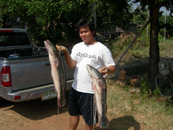 +1 ของผมไม่ได้ดองเลยครับ (ภาพสวยจัง)
 :