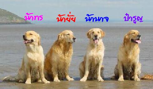  :laughing: :laughing: :laughing:
เมื่อวันอาทิตย์ที่ 9 ธค. ที่ผ่านมา เกิดอาการชีพจรจับที่มือที่เท้า