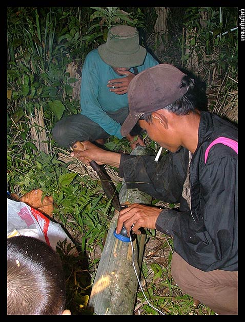 เหอ เหอ ก็กลั่นกรองถ้อยคำออกมา เพื่อให้ทุกคนมโนภาพ
ได้ใกล้เคียงกับสิ่งที่ได้พบเจอจริง ๆ มากที่สุดอ่