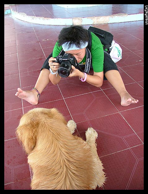 55555 แกะรอยกันยังไงเนี่ย

สาบานได้ว่า ท่านี้ พี่ฟิล์มก็ทำม่ายยยด๊ายยยย  :laughing: :laughing: