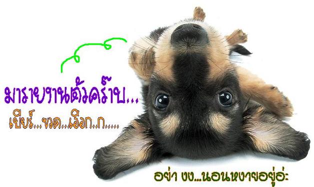  :grin: :grin: :grin: :grin: :grin: :grin: :grin: :grin: :grin: :grin:

||| มา...แว้ว...ว...วว ขอม