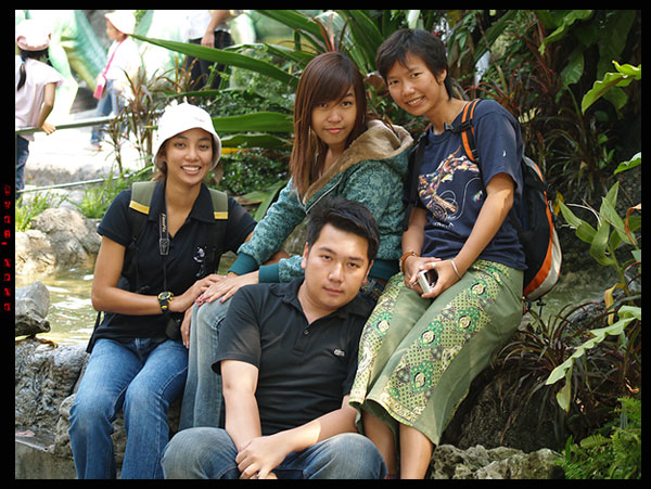 ภาพหมูก่อนเร๊ววววววววววววว  :grin: