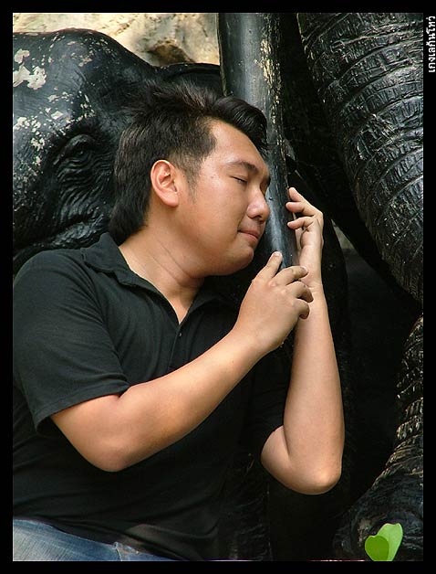 นี่ก็พริ้ม อ้าว.... เป็นไรไปแล้วน้องร