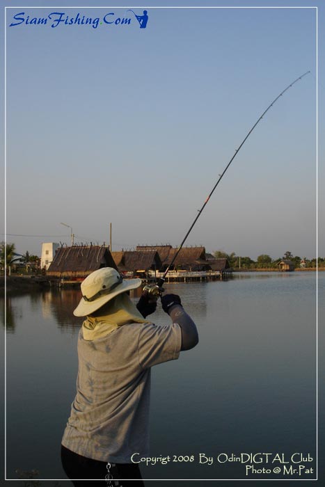 
เราตัดภาพมาตอนเย็นกันเลยดีกว่าคับ 

จากกระทู้  [url='http://www.siamfishing.com/board/view.php?t