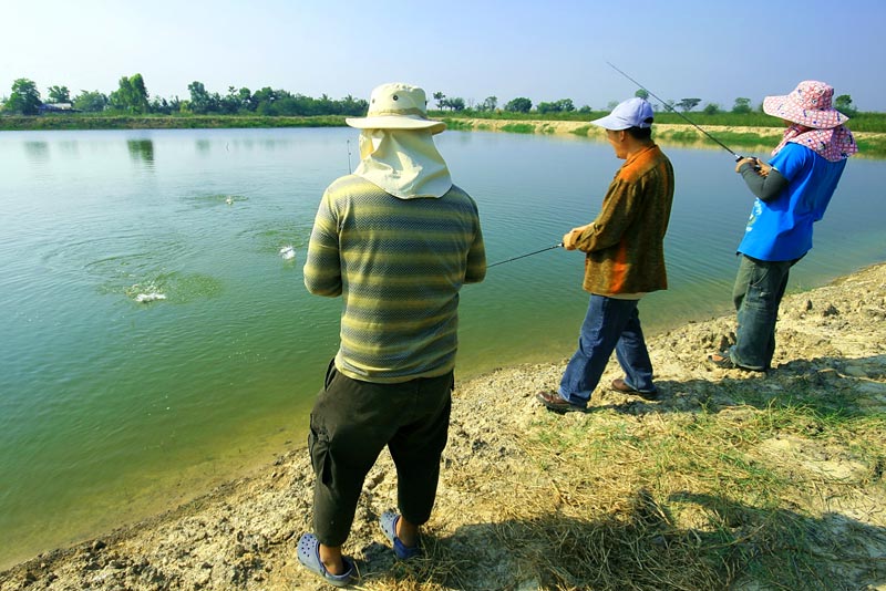 หนากระดานเรียงหนึ่ง...........(เอาตัวเบ็ดออก)...