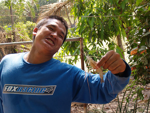 ตาเก่ง บอกของข้าก็มี ใหญ่ด้วย  :tongue: :tongu